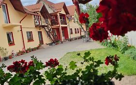 Vila Vladut