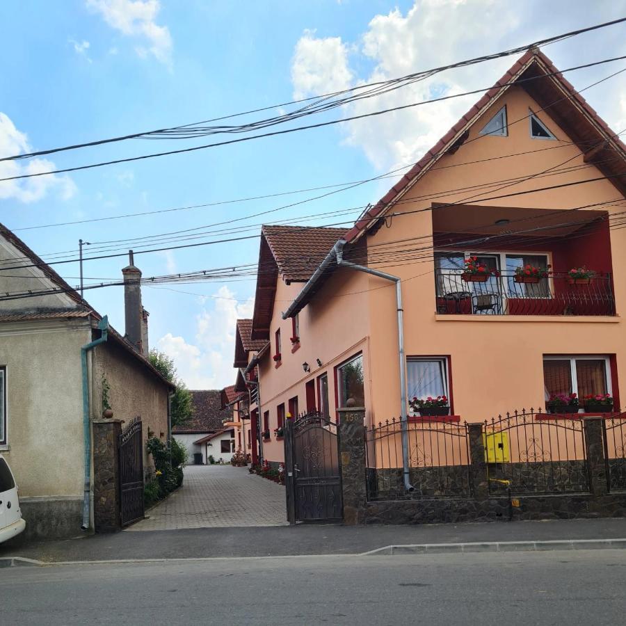 Vila Vladut Zărneşti Extérieur photo