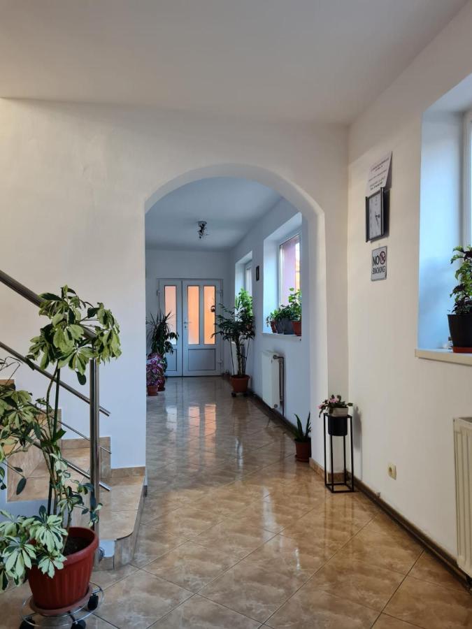 Vila Vladut Zărneşti Extérieur photo