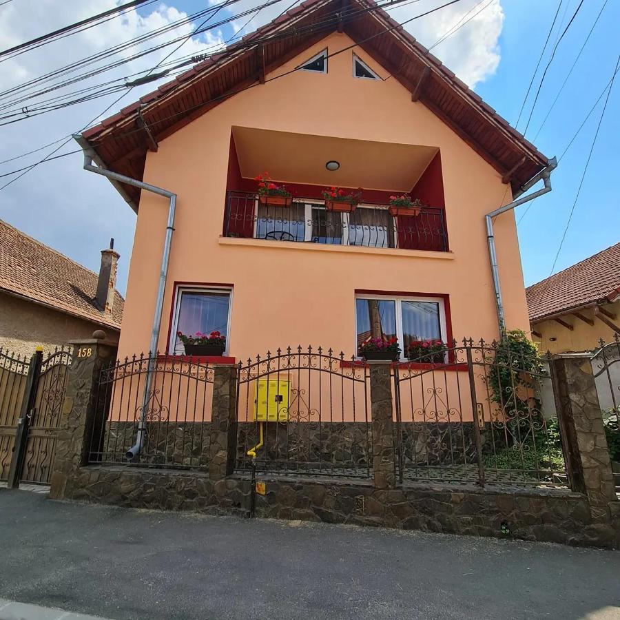 Vila Vladut Zărneşti Extérieur photo