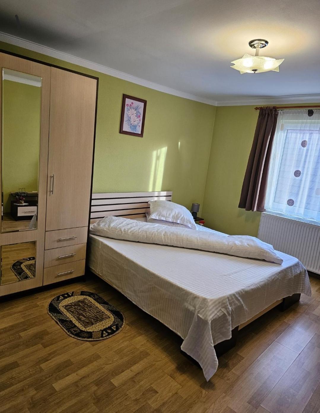Vila Vladut Zărneşti Extérieur photo