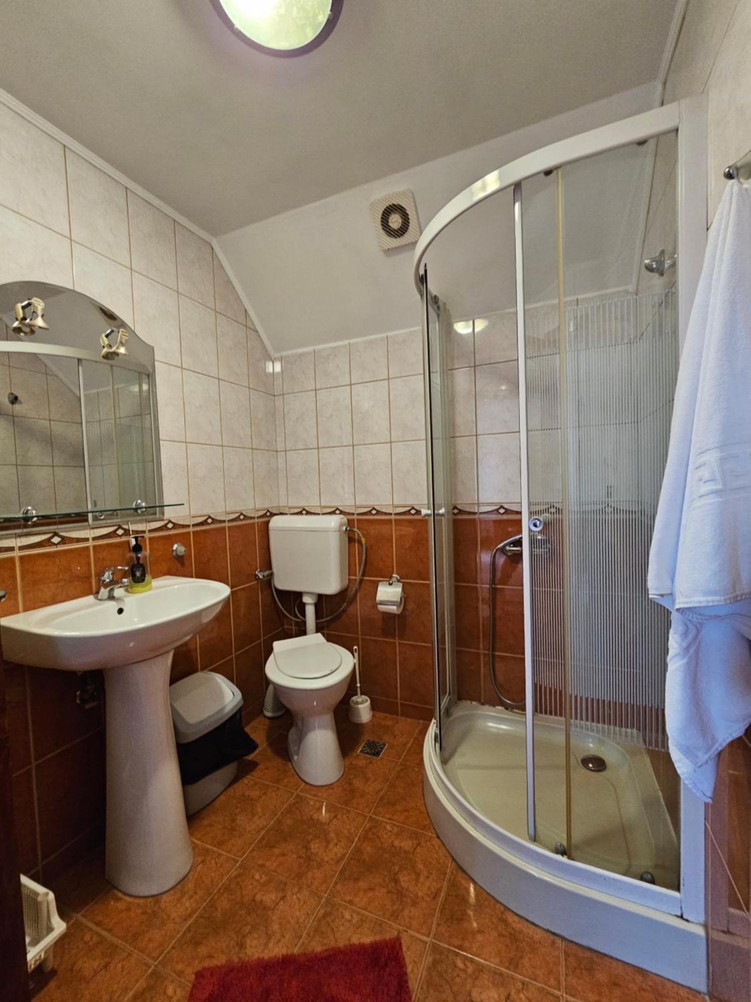 Vila Vladut Zărneşti Extérieur photo