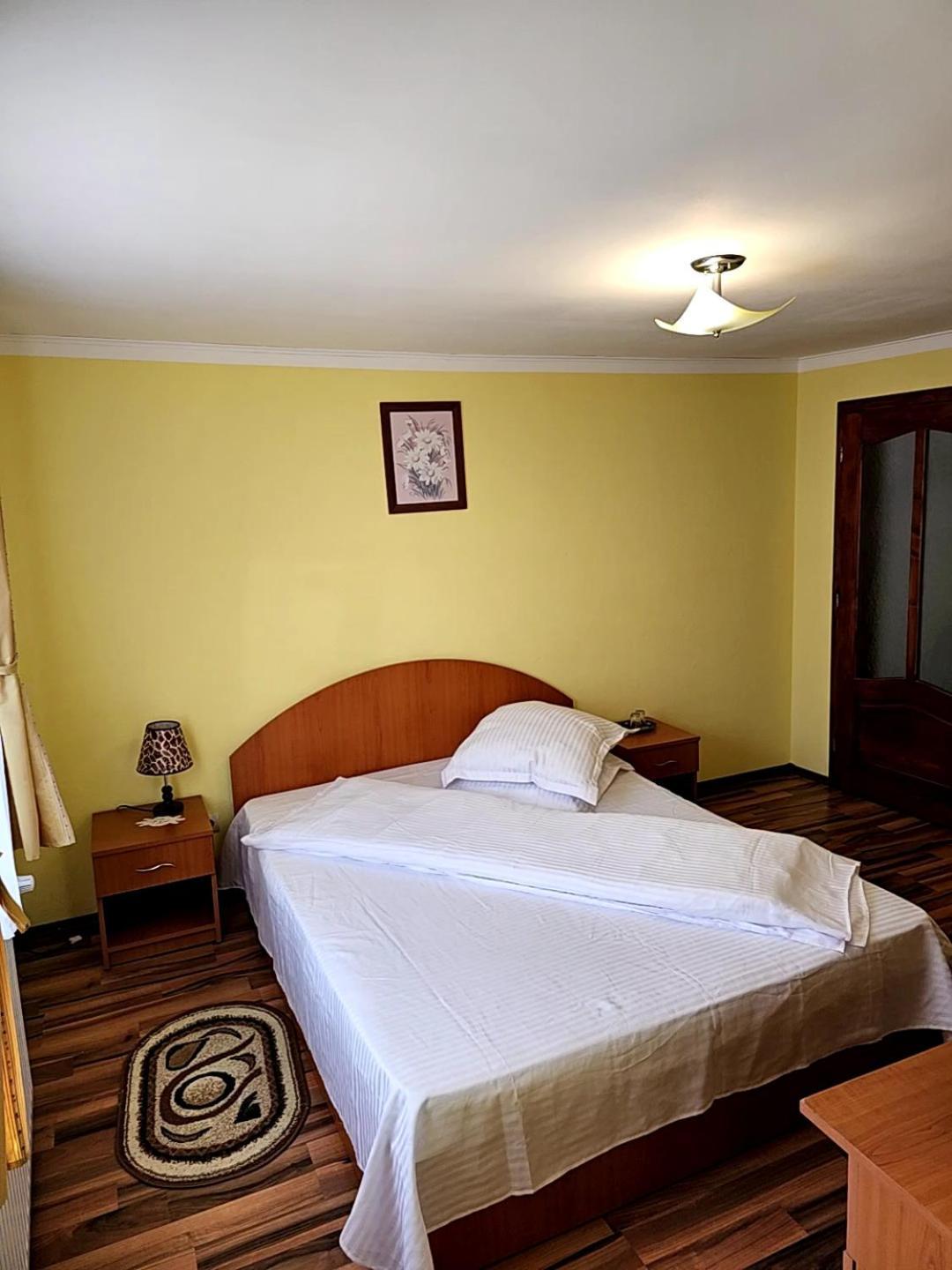 Vila Vladut Zărneşti Extérieur photo