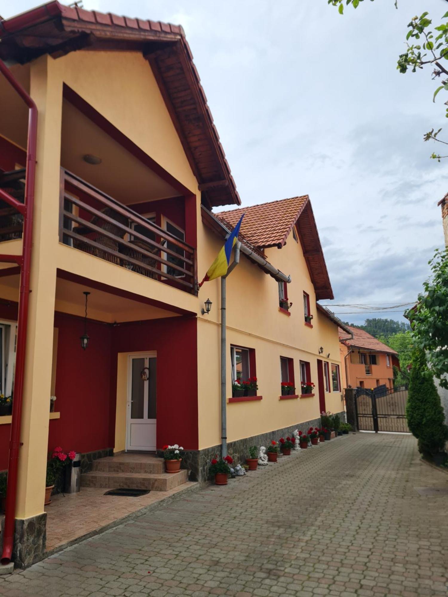Vila Vladut Zărneşti Extérieur photo