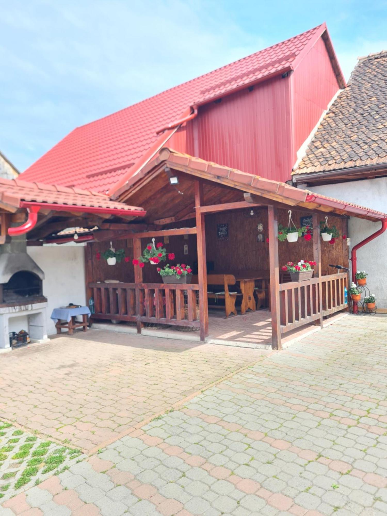 Vila Vladut Zărneşti Extérieur photo