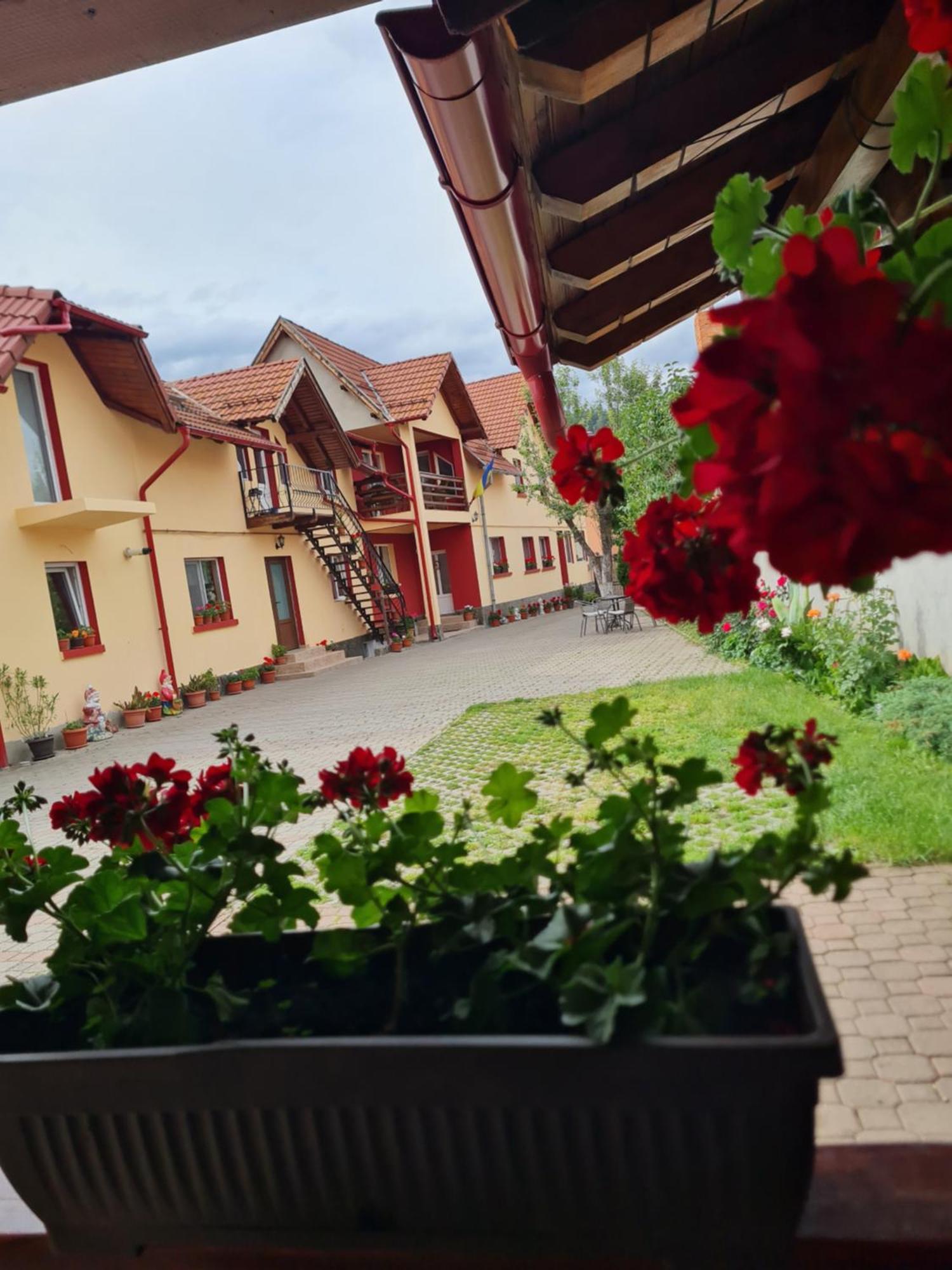 Vila Vladut Zărneşti Extérieur photo